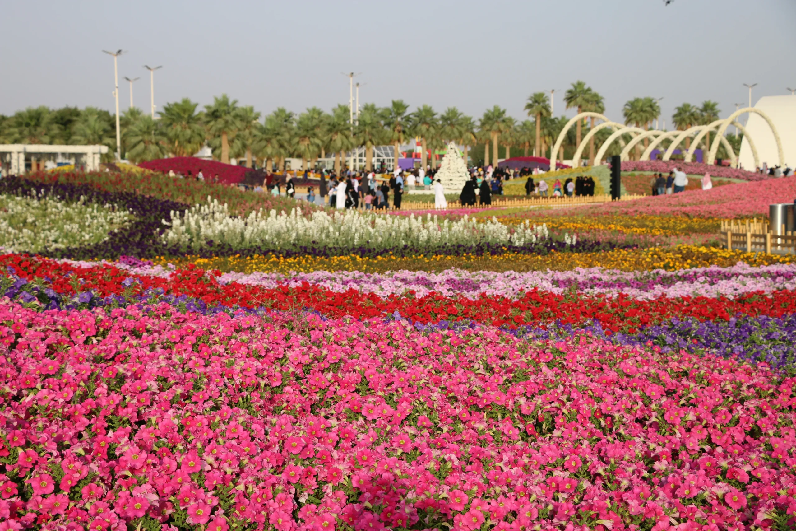 region de yanbu madinah arabie saoudite 23 mars 2019 festival des fleurs evenement annuel organise par la commission royale (1)