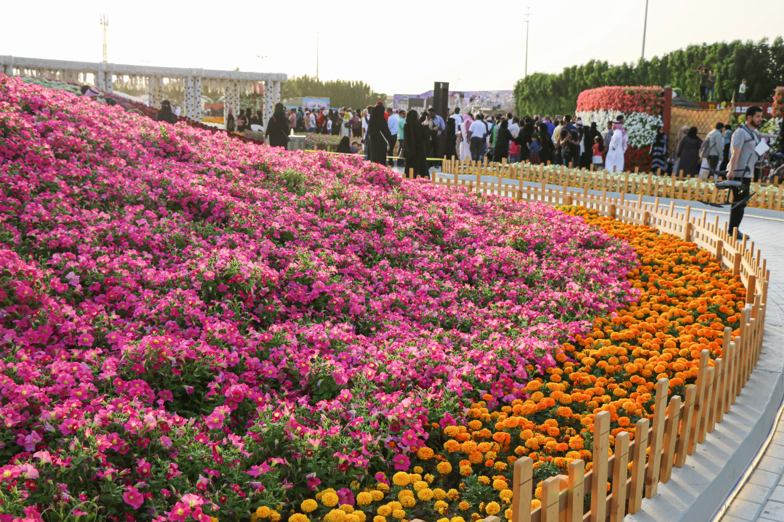 region de yanbu madinah arabie saoudite 23 mars 2019 festival des fleurs evenement annuel organise par la commission royale (2)