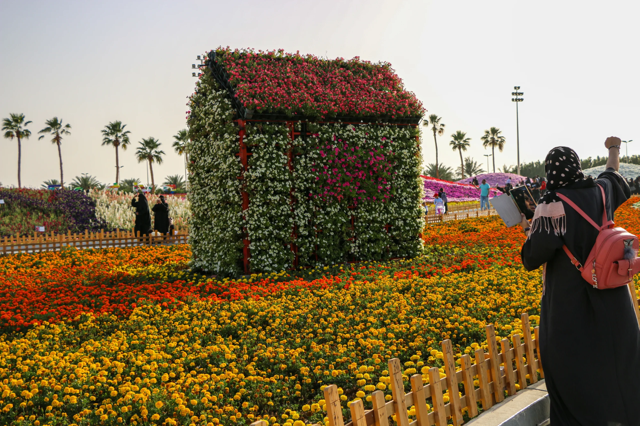 region de yanbu madinah arabie saoudite 23 mars 2019 festival des fleurs evenement annuel organise par la commission royale